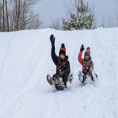 Mini Snow Sled